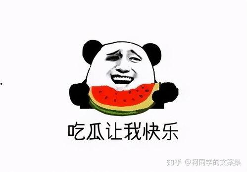 今日吃瓜-热心的朝阳群众吃瓜 独家爆料重生 热门大瓜子,重生热门大瓜背后的故事